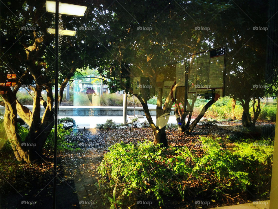 shawn hileman shawnkdesign trees window by shawnhileman47