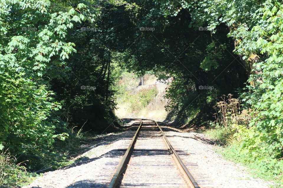 Railroad 