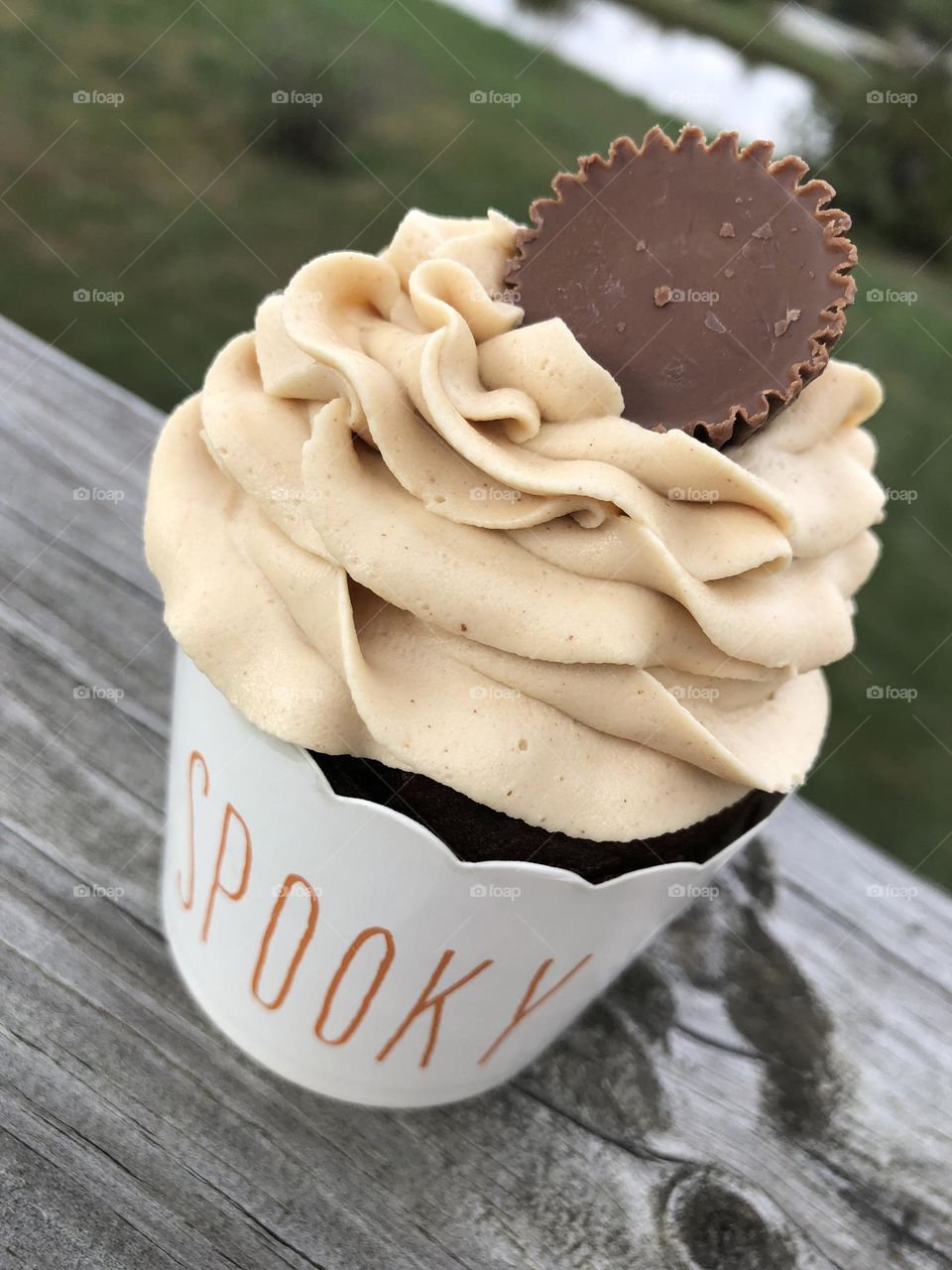 Spooky chocolate Peanut Butter Cupcake