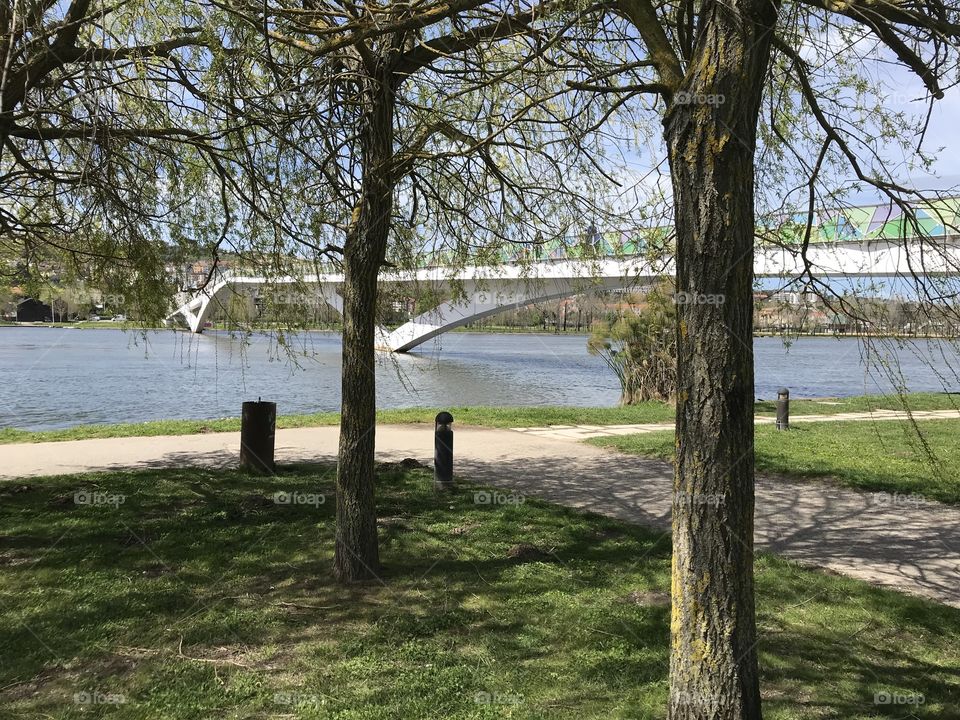 Bridge over river in park