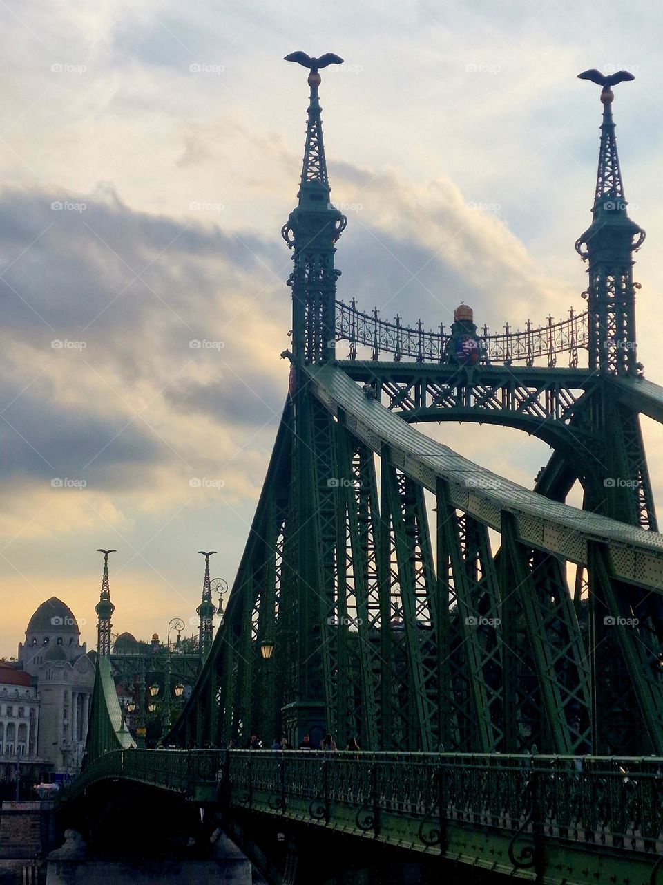 the freedom bridge from Budapest