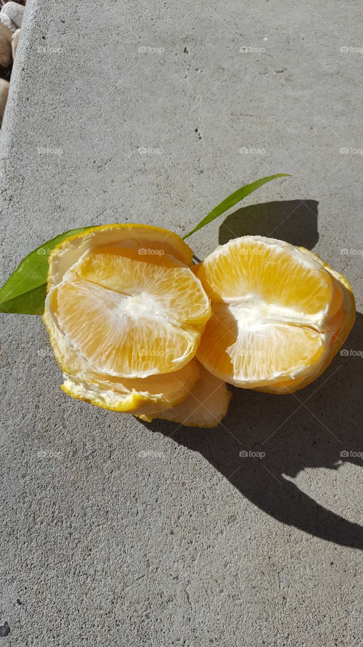 High angle view of halved orange fruit