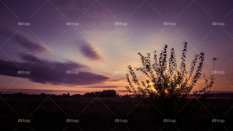 Sunset, Dawn, Landscape, Sun, Evening