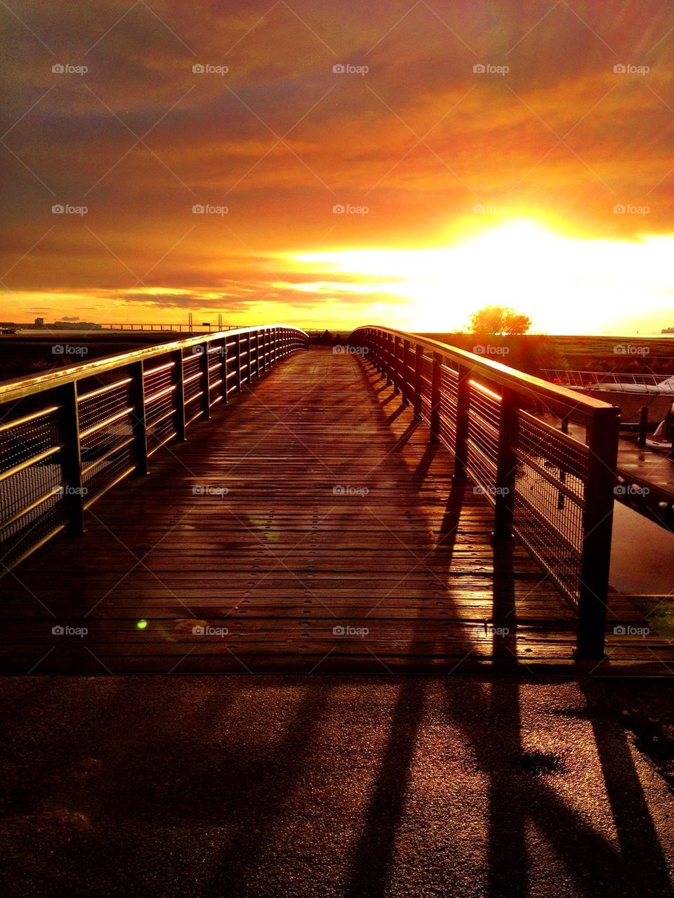 Bridge to the sun