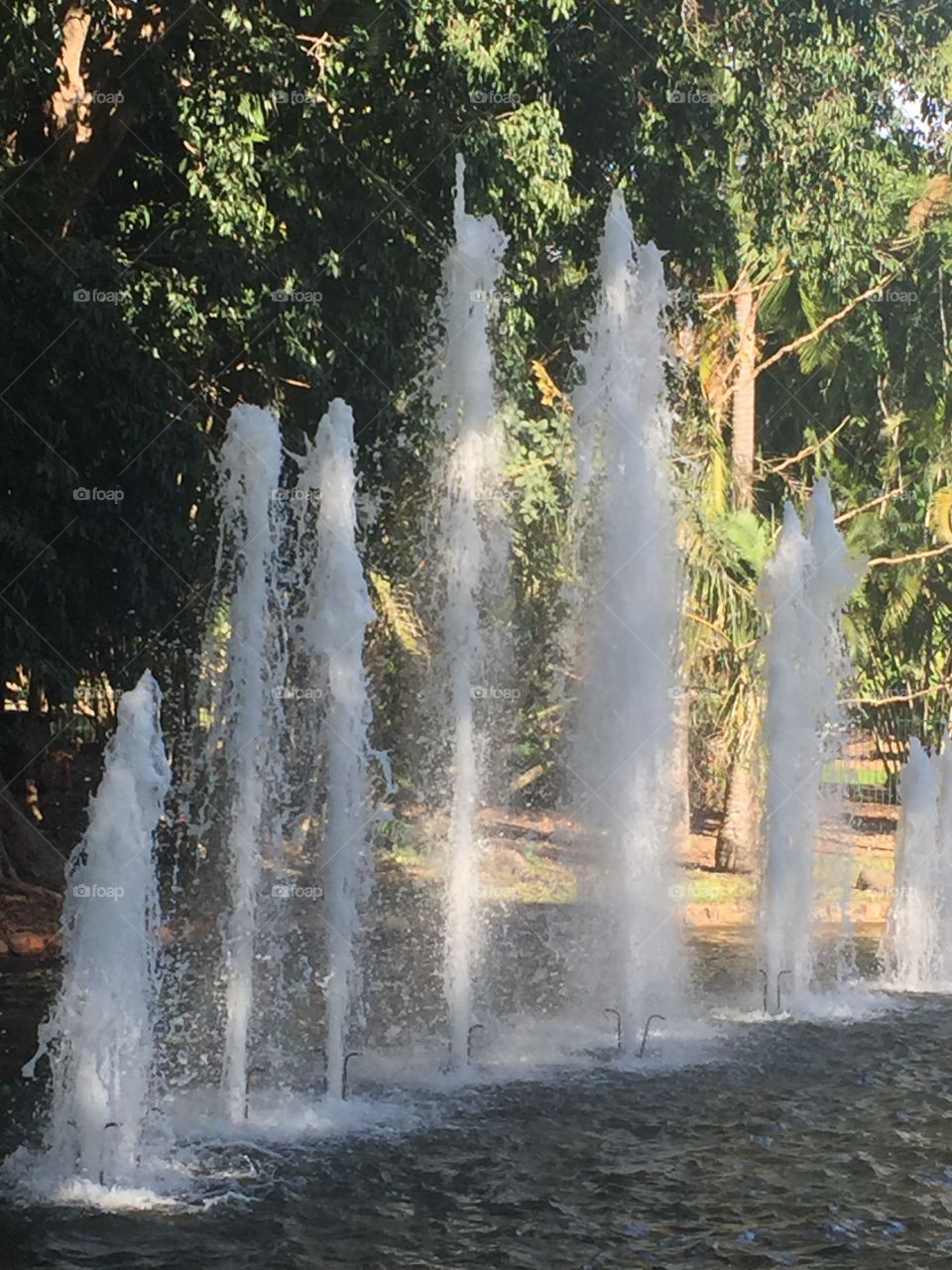 Water fountain