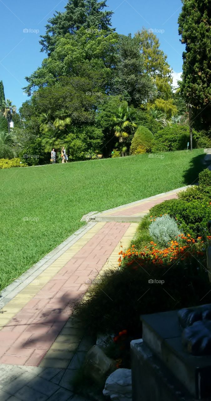 Botanical garden Arboretum in Sochi