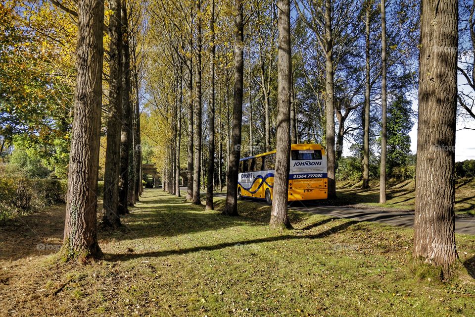 Bus. Country road 