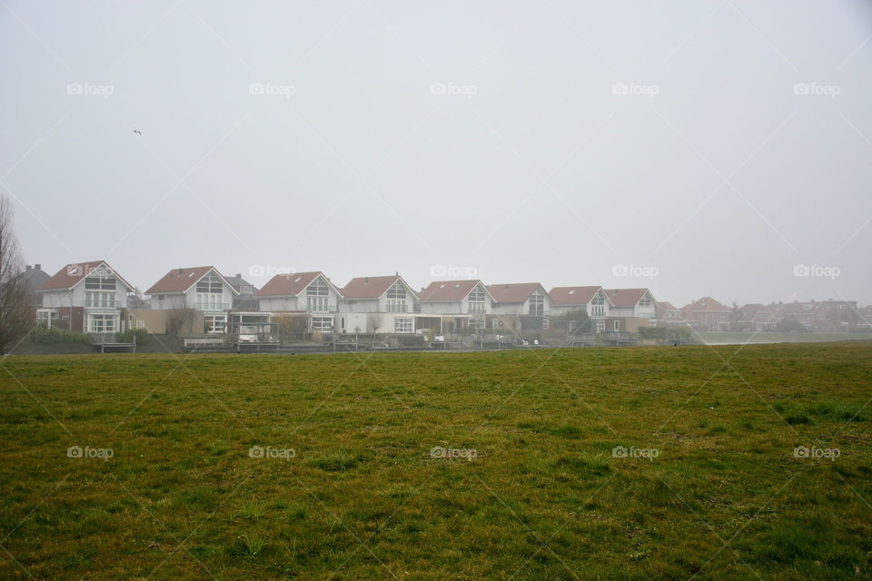 Houses in the fog