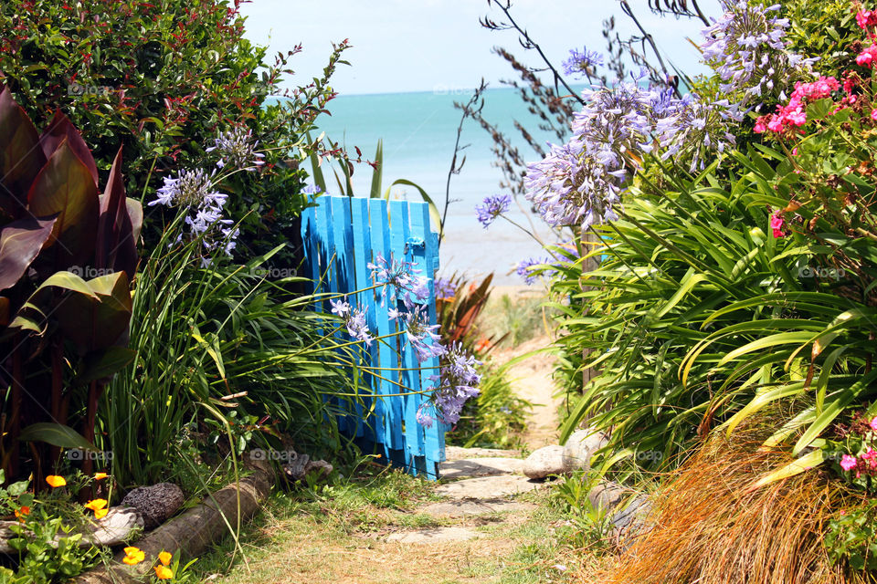 View of glowing flowering plants