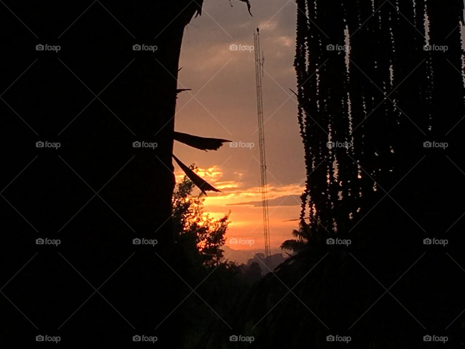 Sunset, No Person, Backlit, Silhouette, Sun