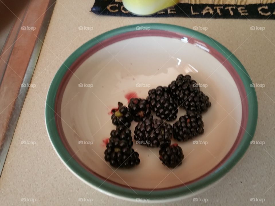 Fresh picked blackberries 