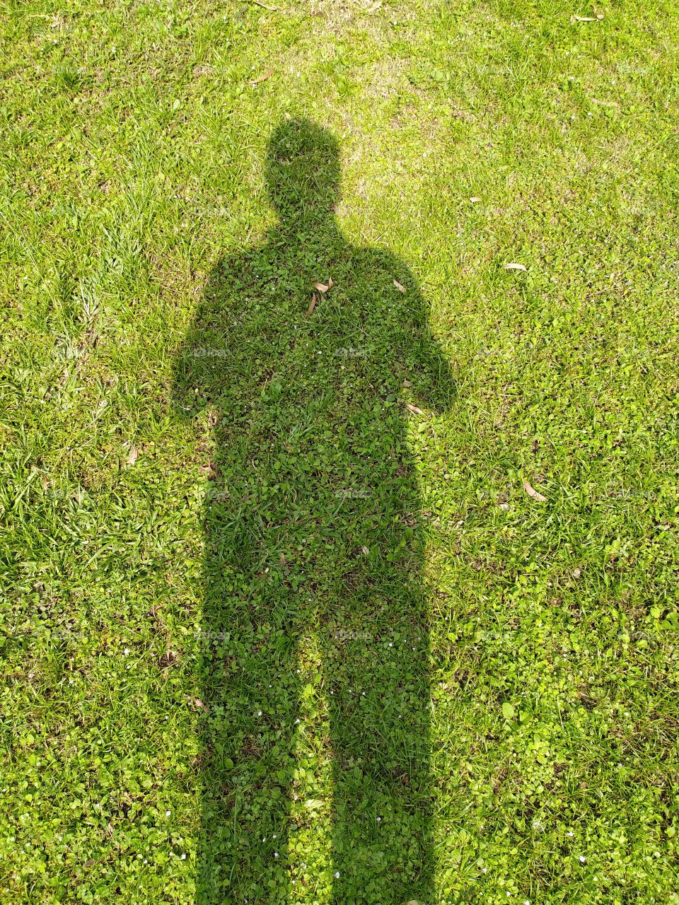 Even shadows look different at the onset of autumn