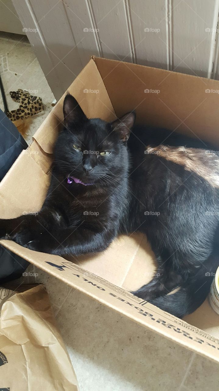 enjoying a box