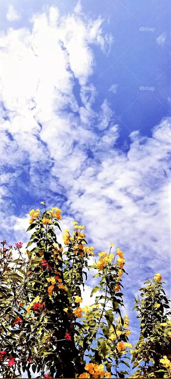 clouds ❣️❣️