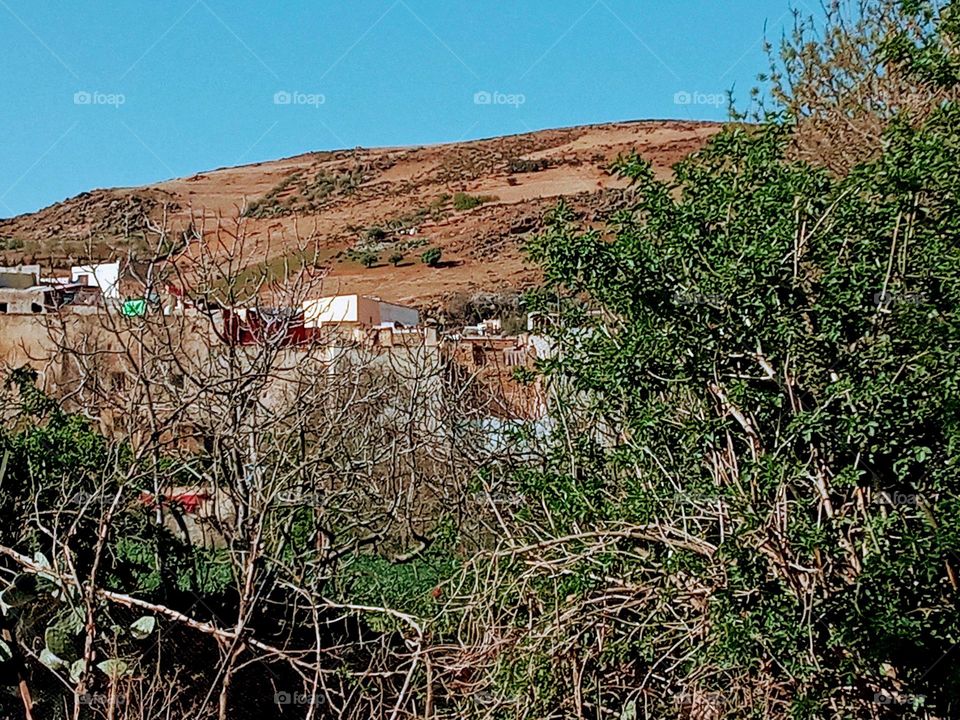 Population between the nature