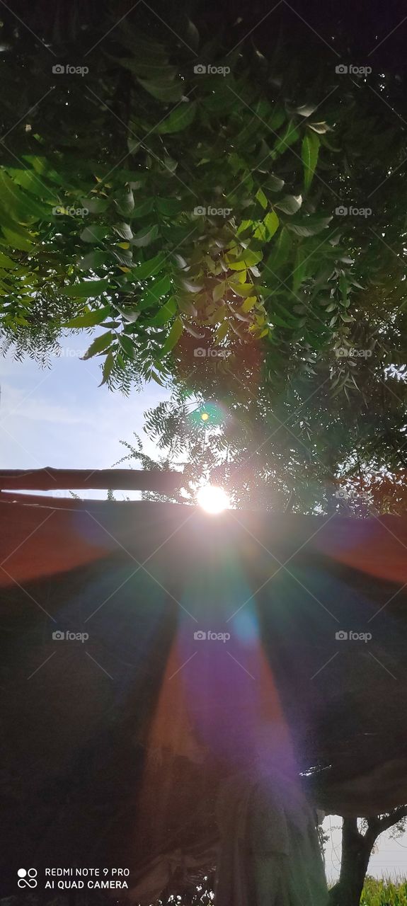 sun light is very beautiful