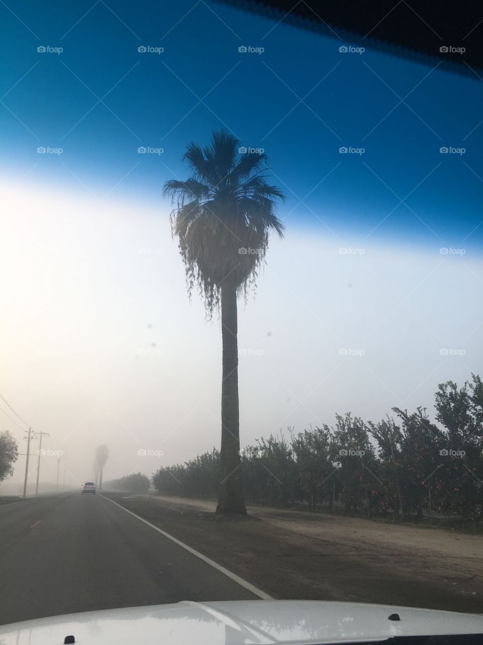 California Fog