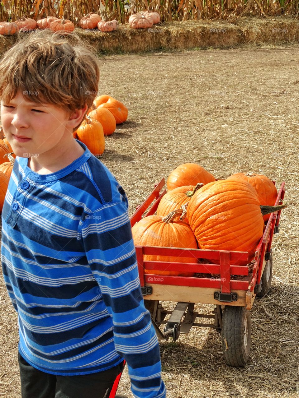 Young Boy At The Pumpkin Patch
