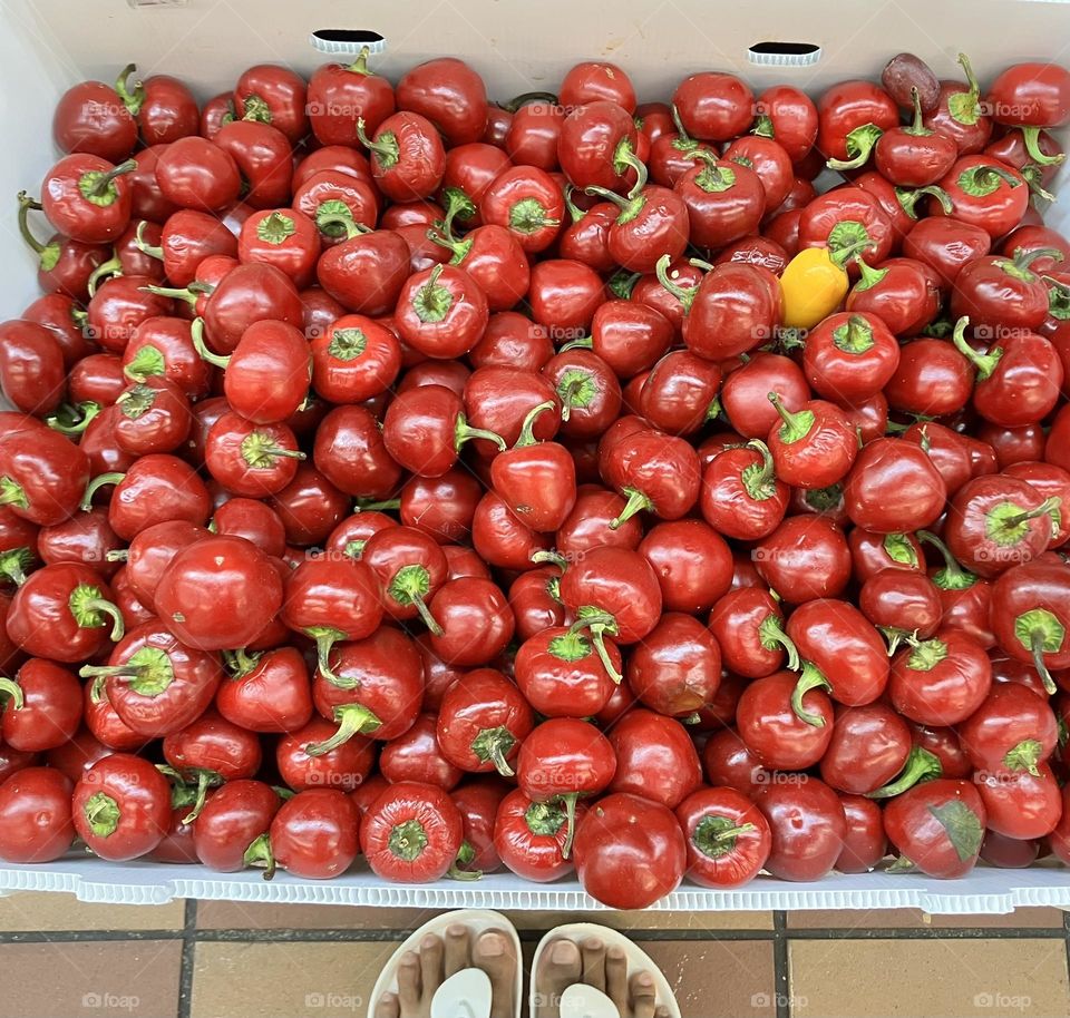 A person standing in front of a group of small red bell peppers on a basket in the grocery store.