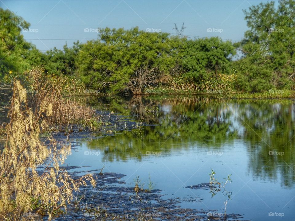 turning point. This is the photo 📷 where I turned around during my morning bike 🚲 ride