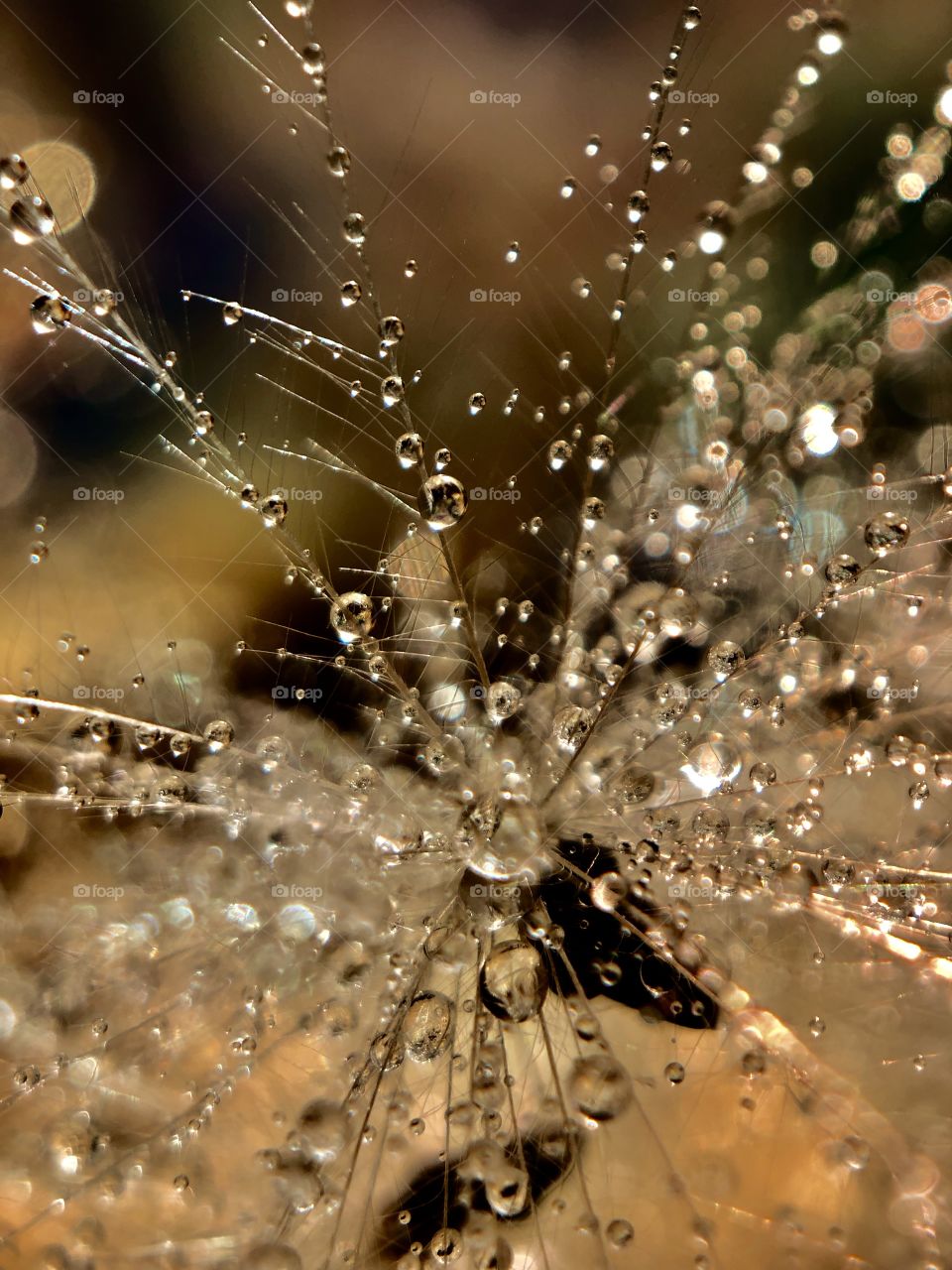 Drops macro 
