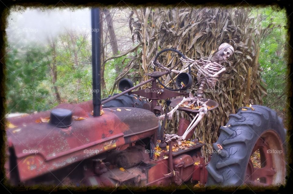 Harvest till I die. Halloween harvest