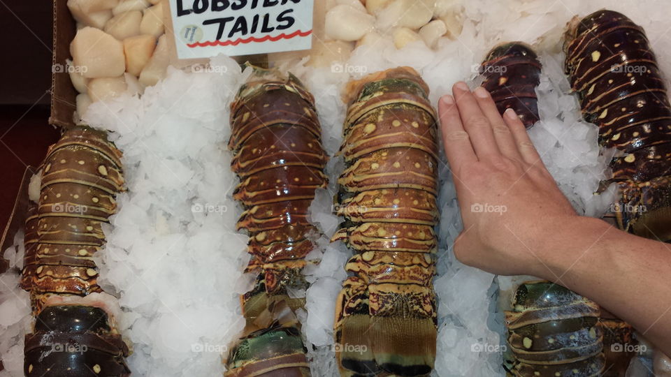 Huge Lobster Tails