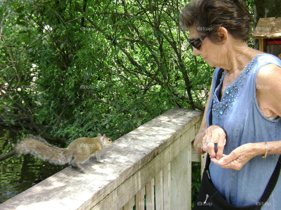 feeding the ducks?. feeding the Squirrel