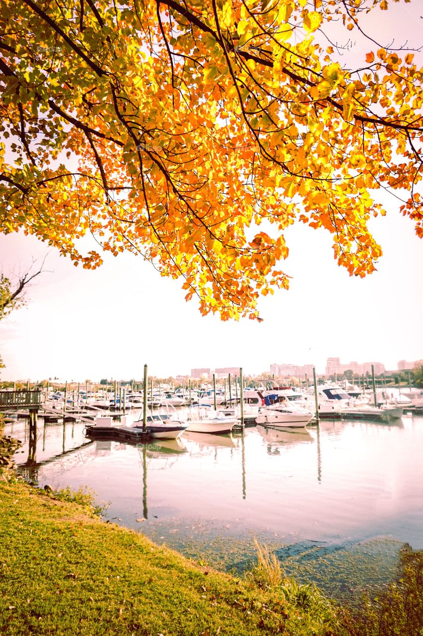 Autumn colors at harbor in DC.