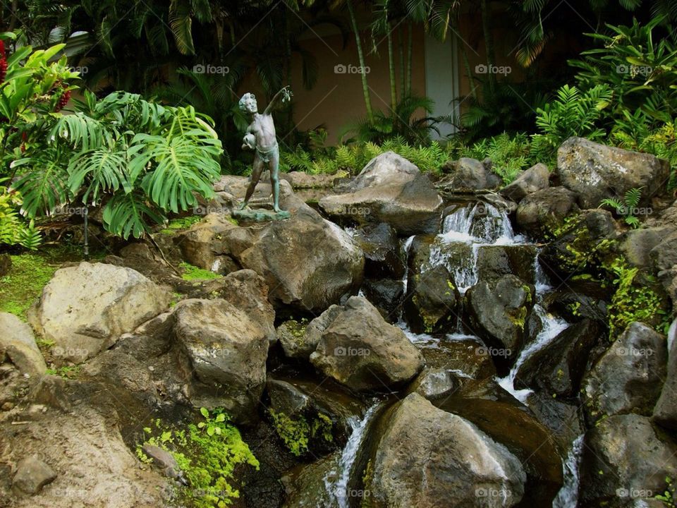 Maui botanical garden