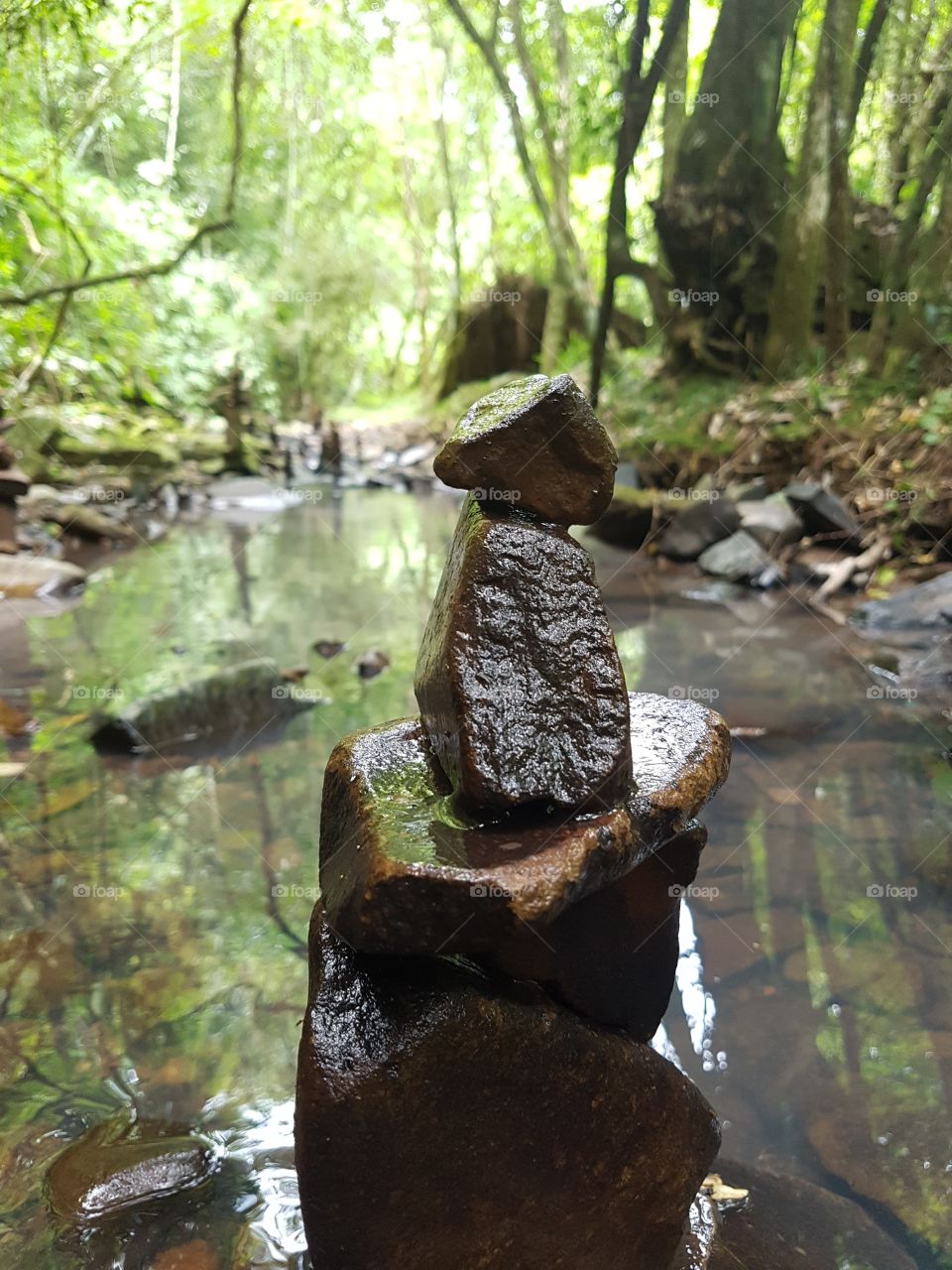 Pedra de rio