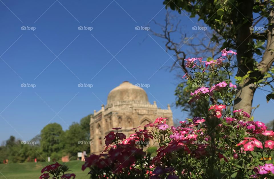 Lodhi Garden in Delhi. Lodhi Garden in Delhi is spread in around 90 acres of land and is a perfect blend of natural and historical beauty and there are several ancient architectural monuments in the park.
