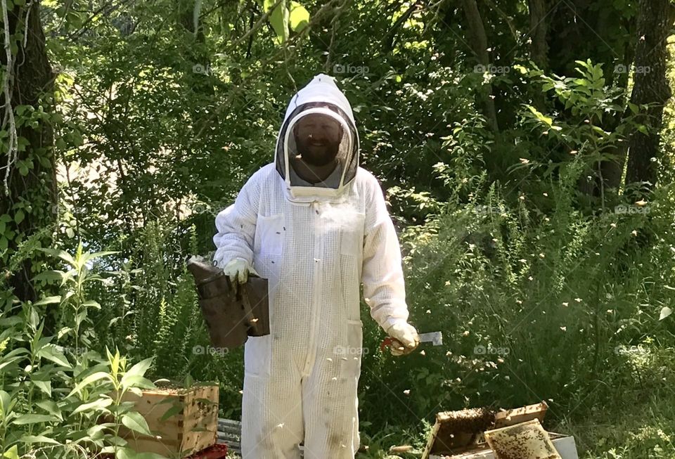 Beekeeper with an Open Hive