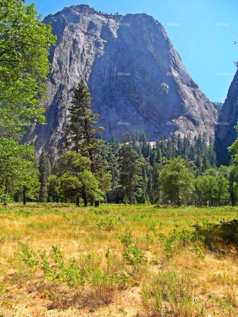 The beauty that is Yosemite
