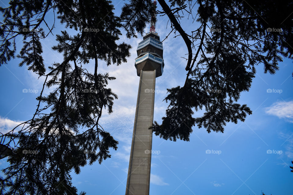 avala tower