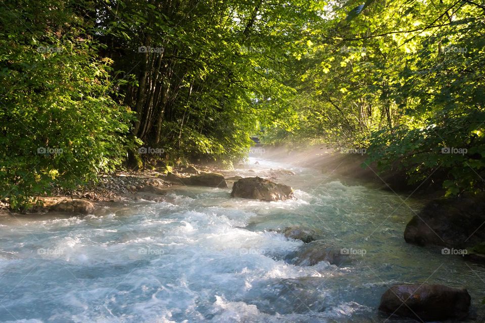 Sun shining through the green leaves reaches the little wild creek with clear turquoise water in the forest and causing haze 