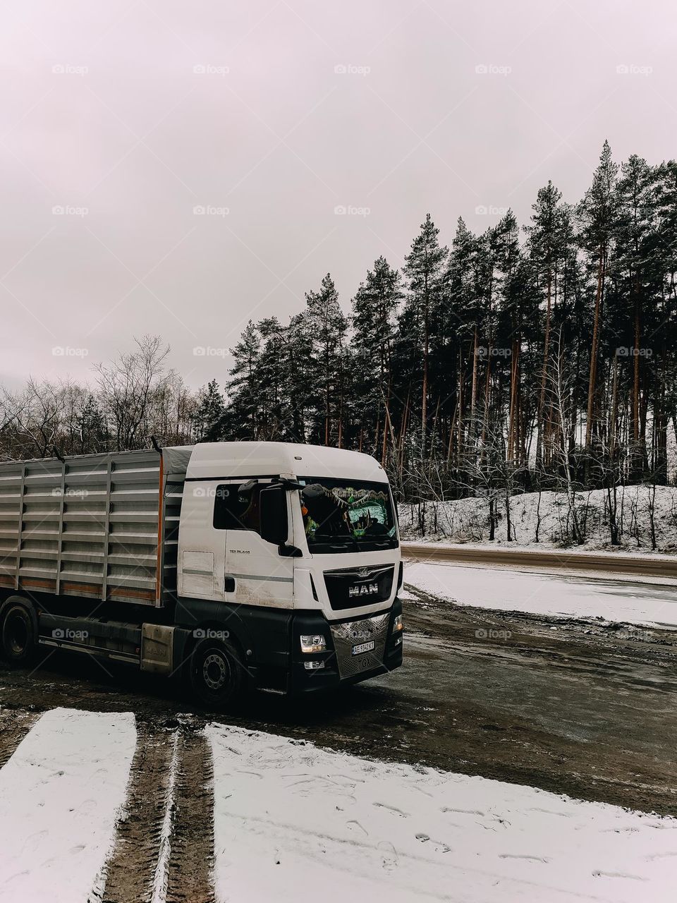 Truck at the winter road behind pine tree forest, covered with snow. Cloudy weather, early morning