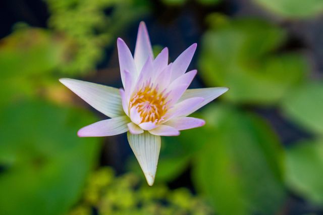 Photo of The Week