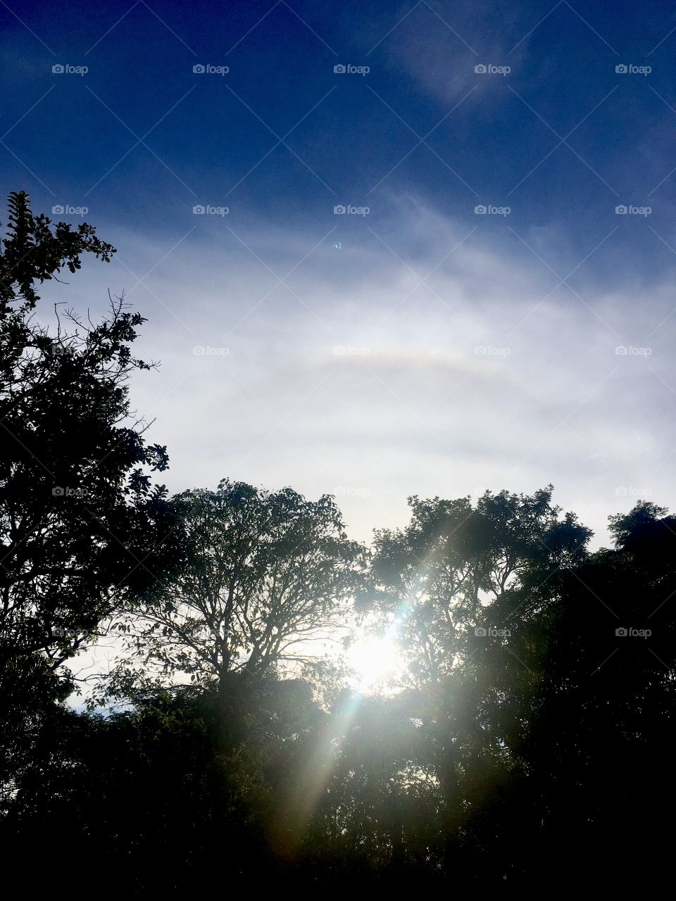 🌅Desperte, #Jundiaí. 
Que a jornada diária possa valer a pena!
🍃
#sol #sun #sky #céu #photo #nature #morning #alvorada #natureza #horizonte #fotografia #pictureoftheday #paisagem #inspiração #amanhecer #mobgraphy #mobgrafia #AmoJundiaí