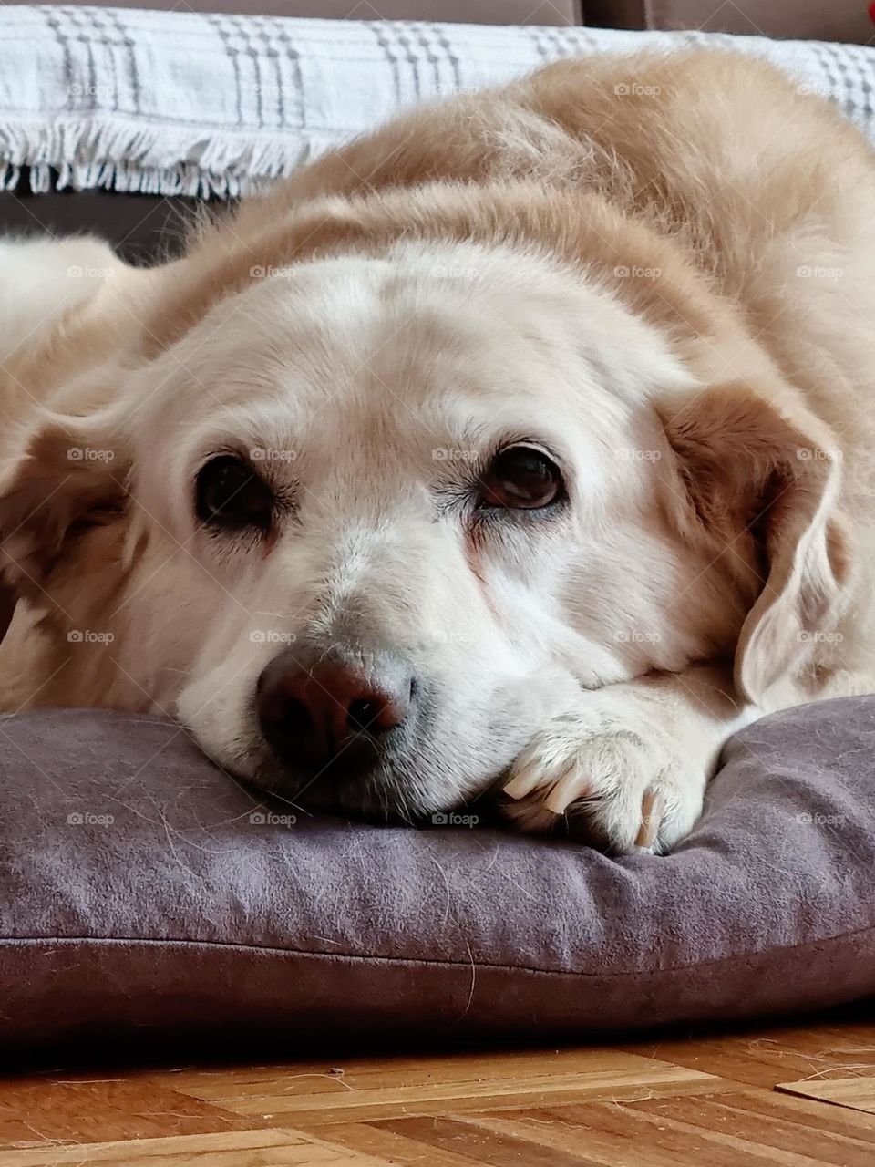 it is most beautiful in my bed