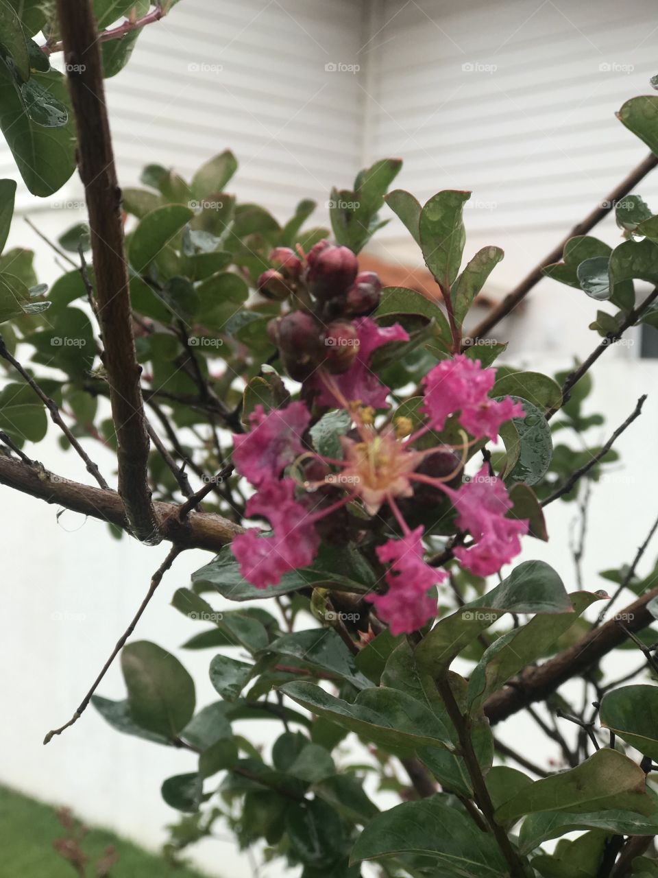 Some snaps near the highways condômino