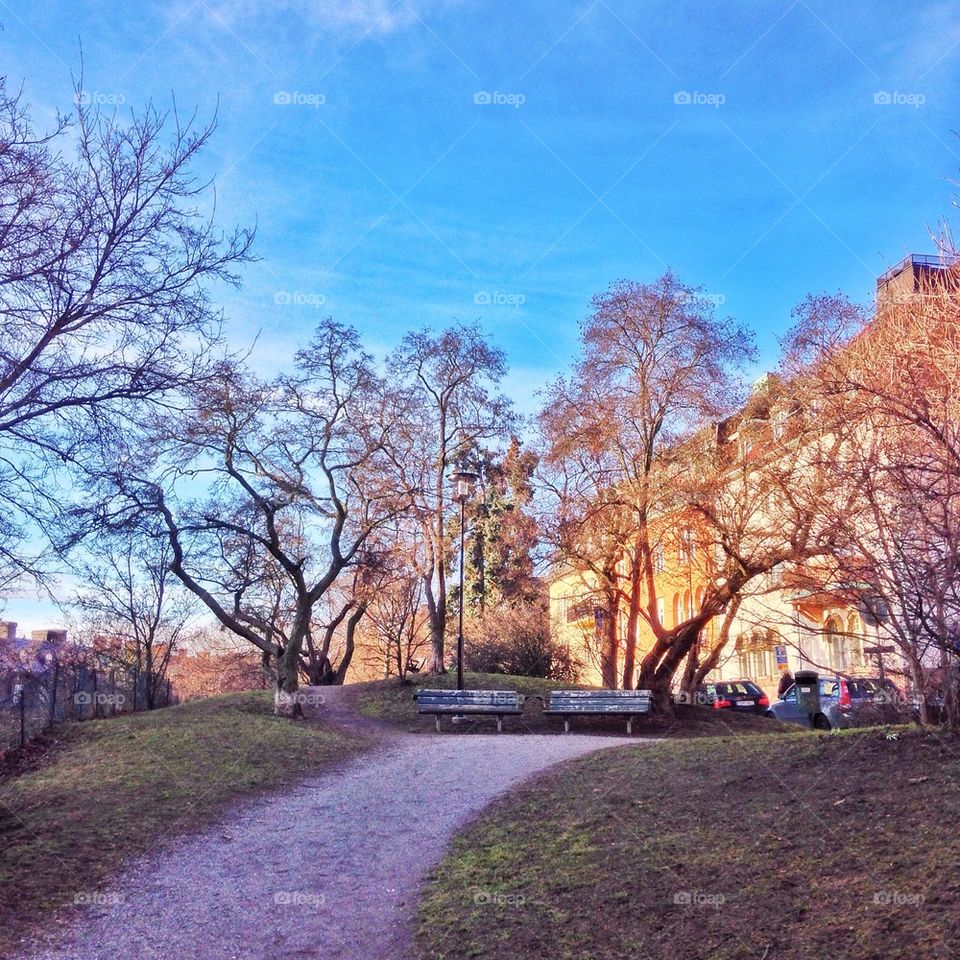 Stockholm park