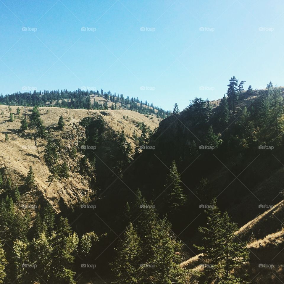 Top of Peterson creek! 