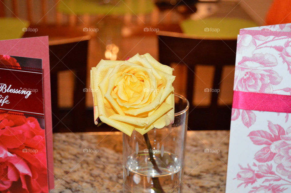 flower bright beauty. beautiful flower pic Indoor picture