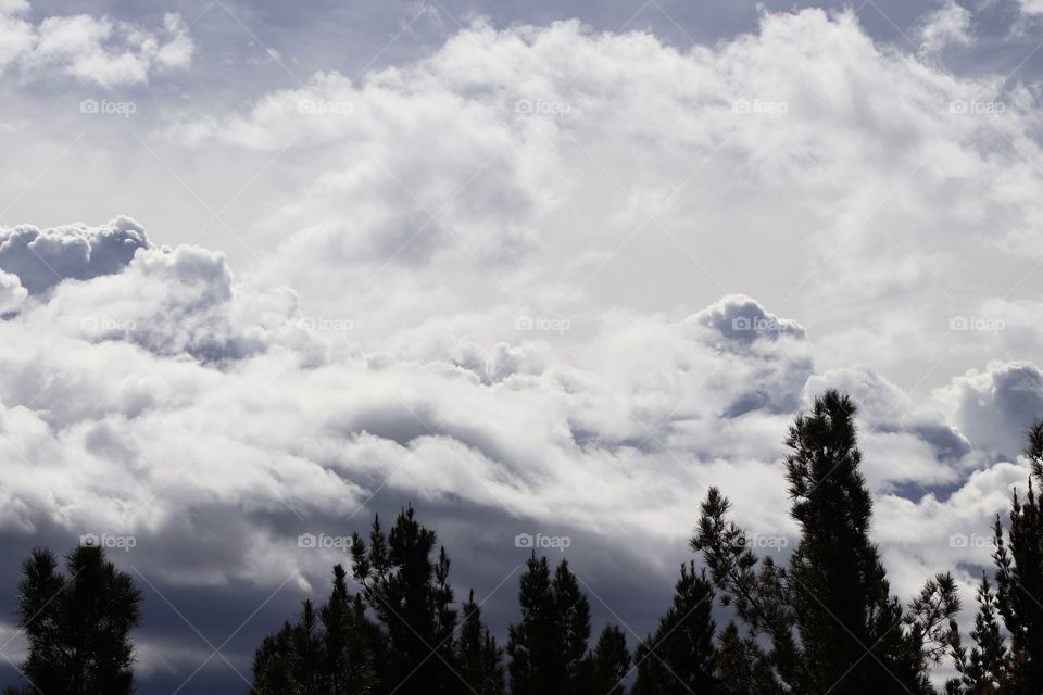 Beautiful storm clouds moving in. 