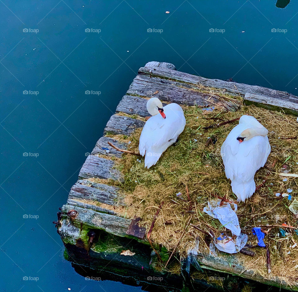 When you with your loved ones that’s your home…