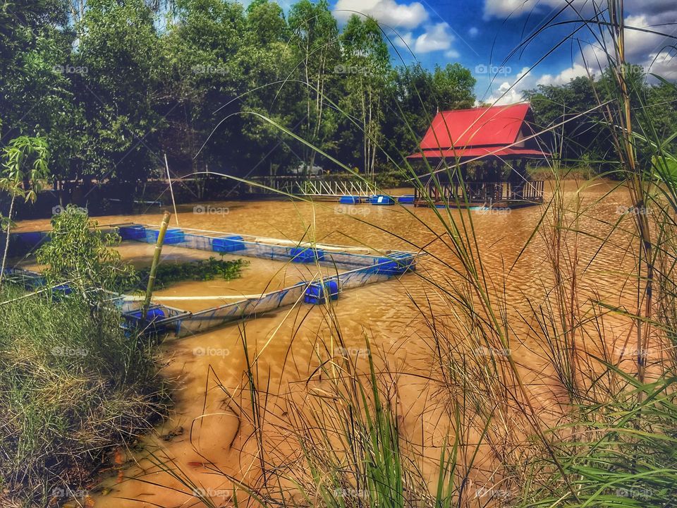 Sufficiency Economy of the Head of Thailand