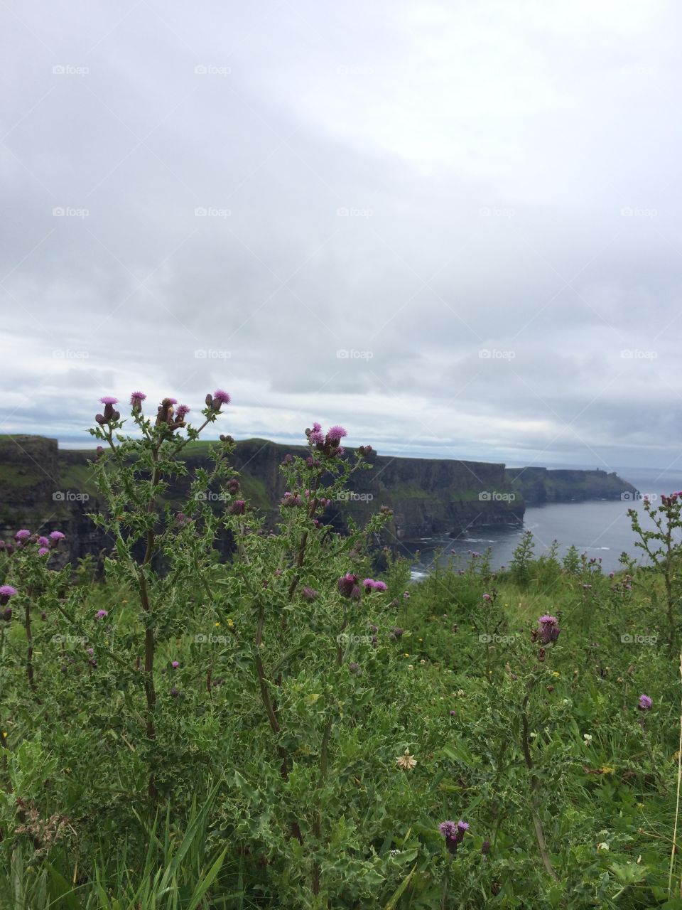 Cliffs of Moher