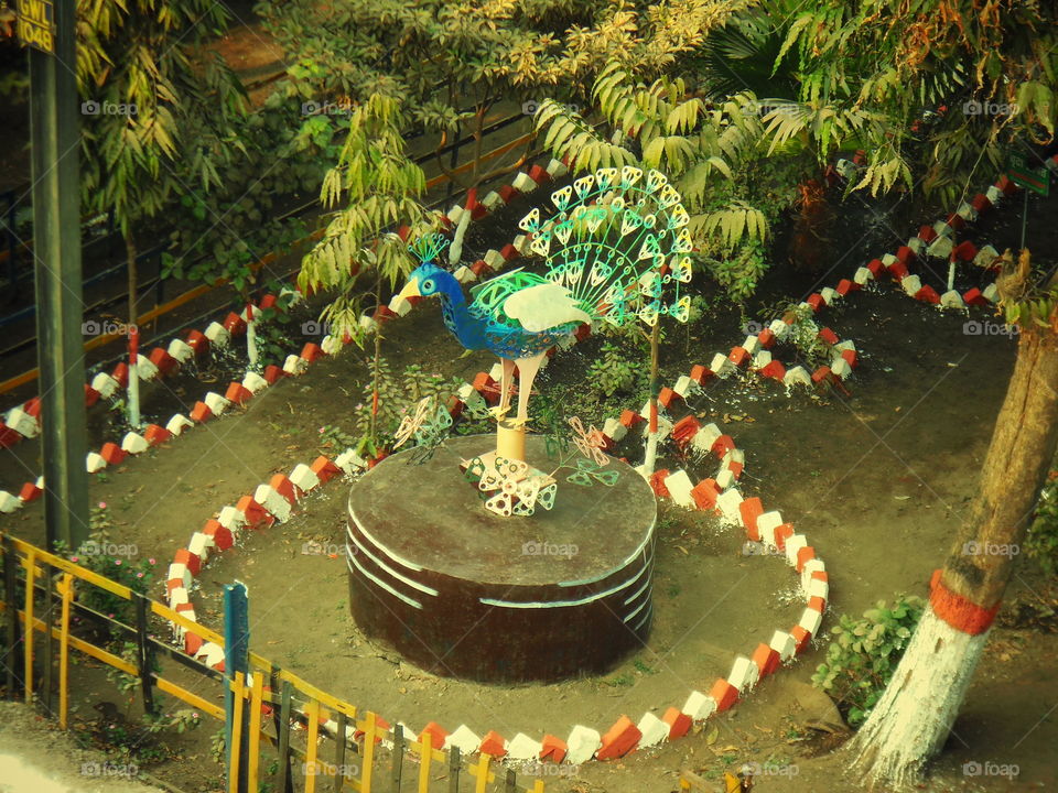 model of peacock art