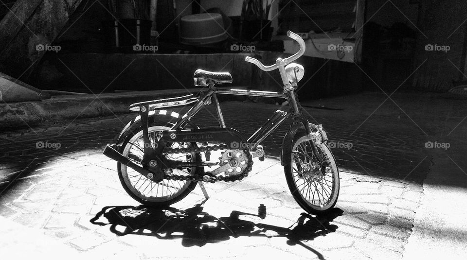 My bicycle (morning day)